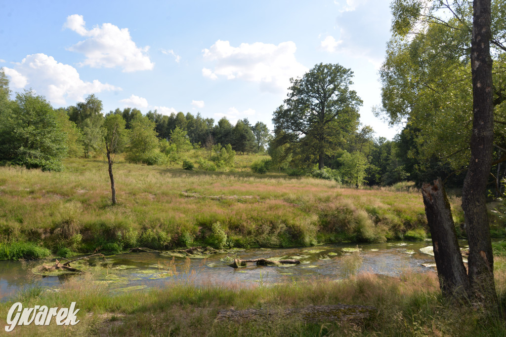 Była jak potępiona. Spacer po...