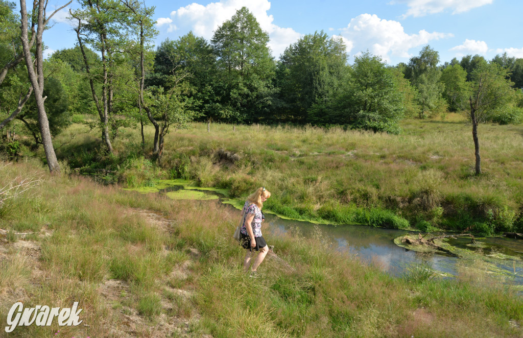 Była jak potępiona. Spacer po...