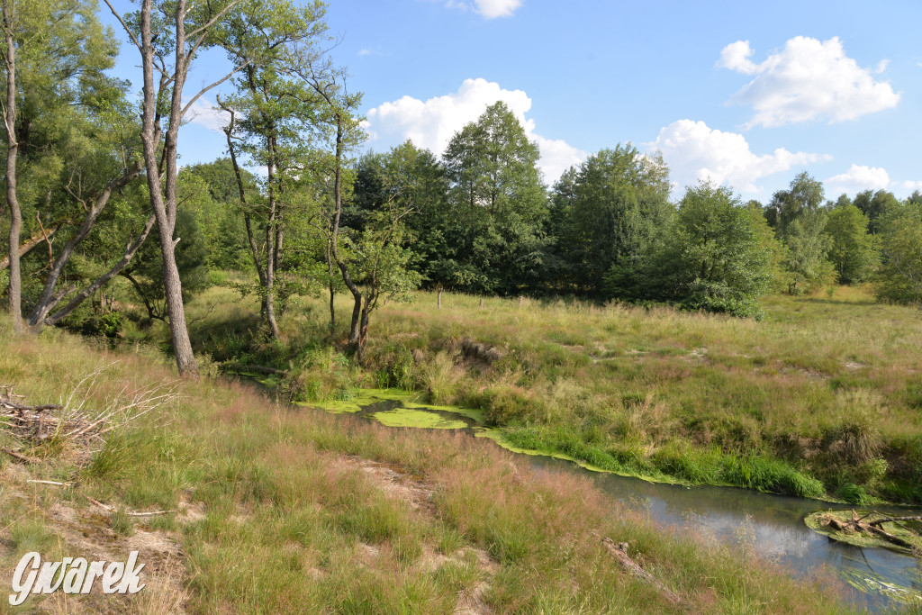Była jak potępiona. Spacer po...