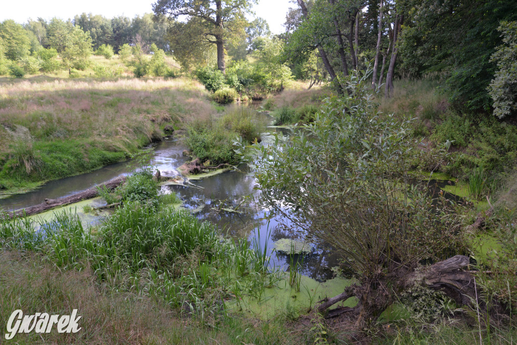 Była jak potępiona. Spacer po...