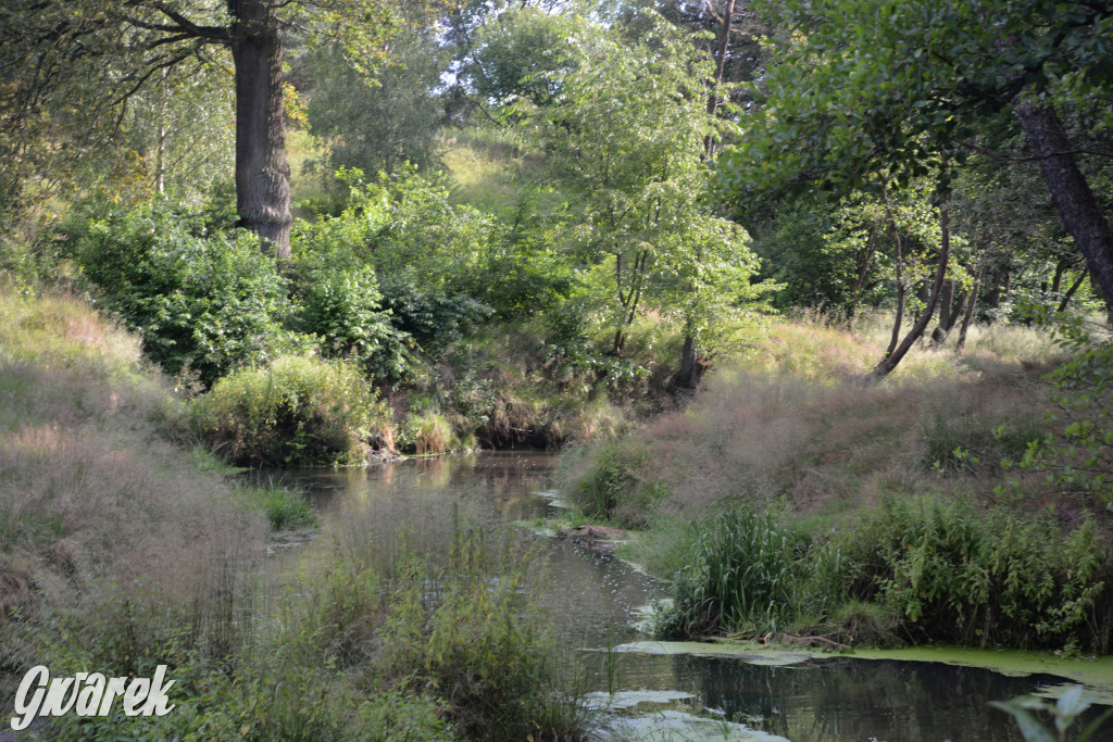 Była jak potępiona. Spacer po...