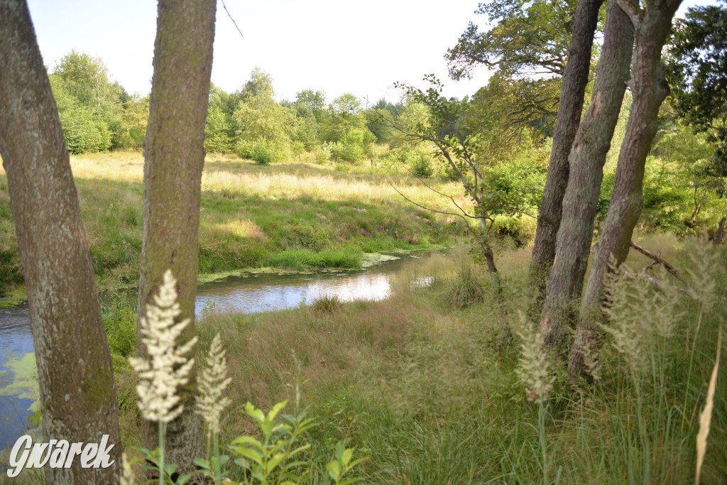 Była jak potępiona. Spacer po...