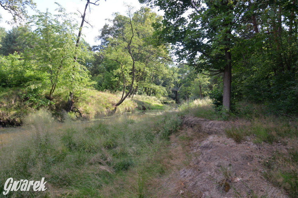 Była jak potępiona. Spacer po...