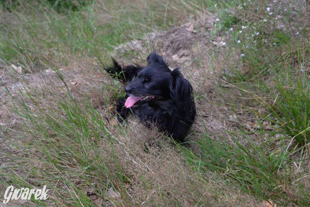 Była jak potępiona. Spacer po...