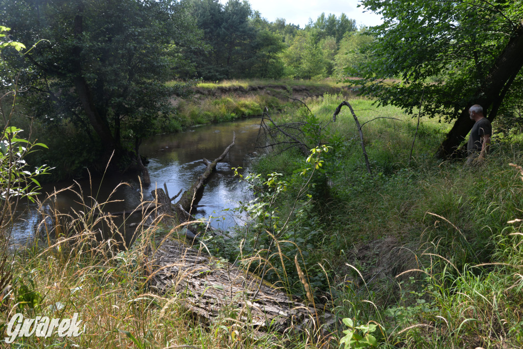 Była jak potępiona. Spacer po...