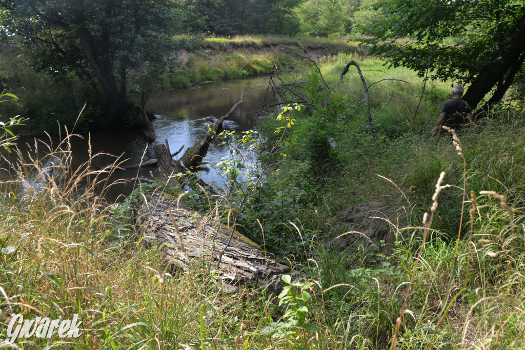 Była jak potępiona. Spacer po...
