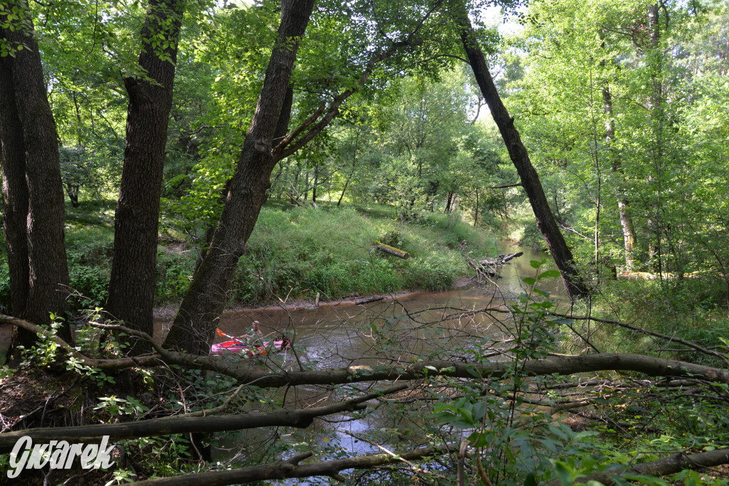 Była jak potępiona. Spacer po...