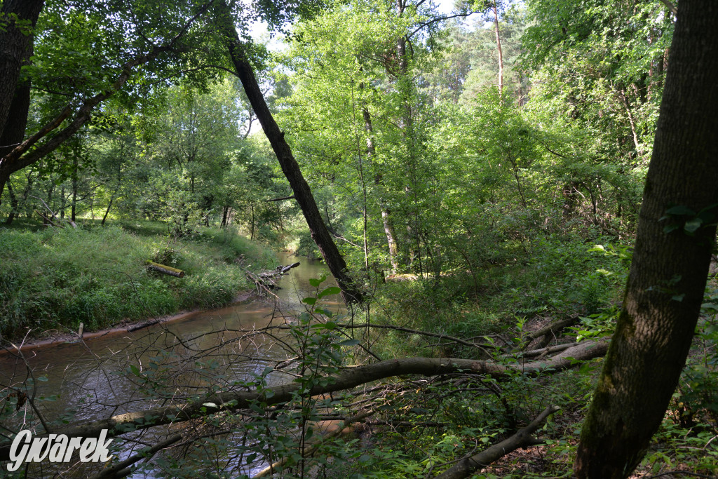 Była jak potępiona. Spacer po...
