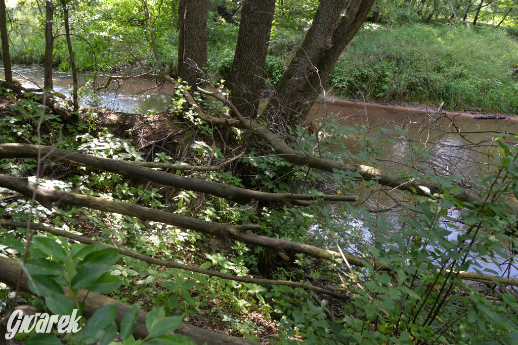 Była jak potępiona. Spacer po...