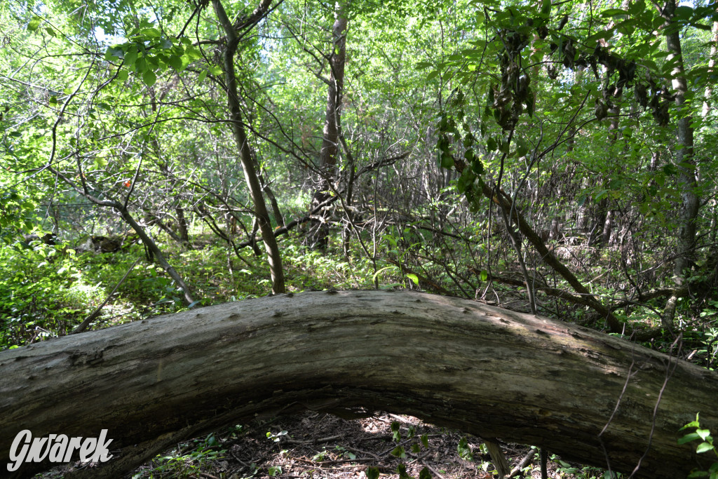 Była jak potępiona. Spacer po...