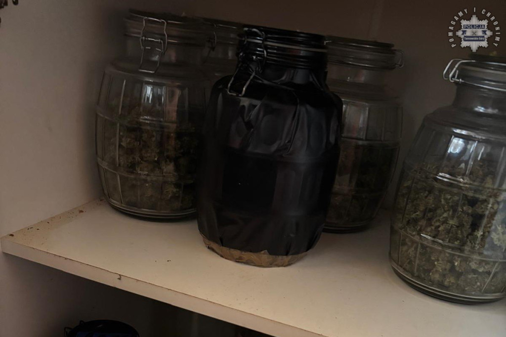 Plantator marihuany z Kalet