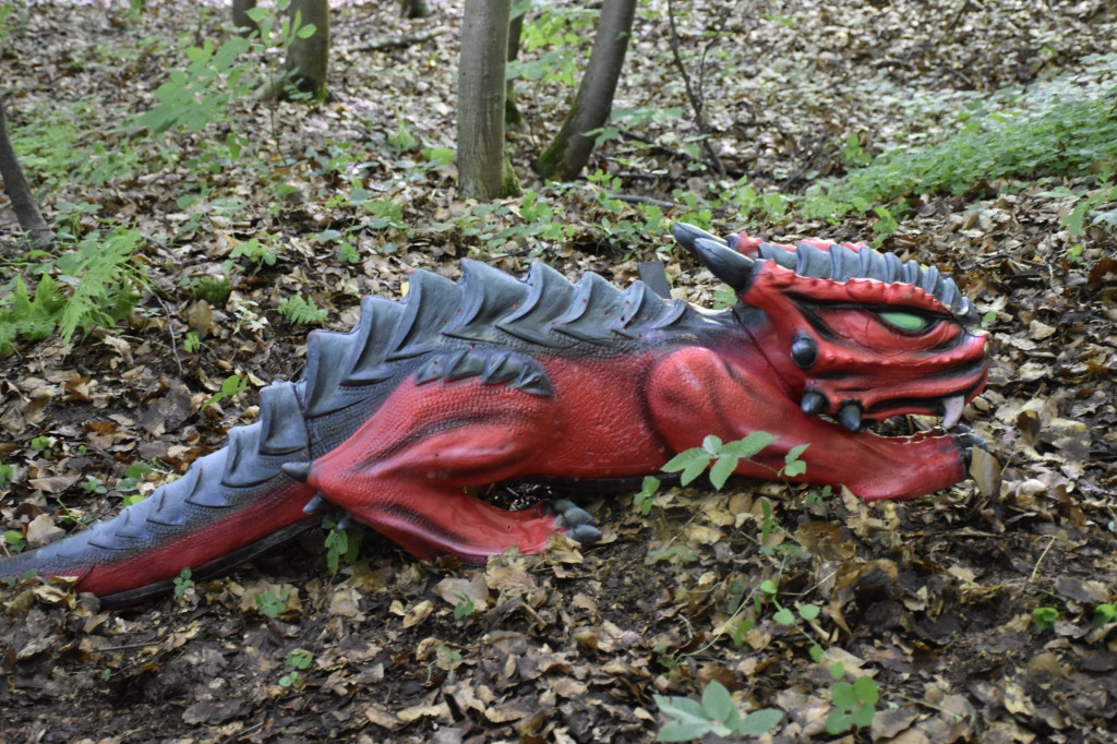 Tarnowskie Góry. Łucznicy w parku Repeckim [FOTO]