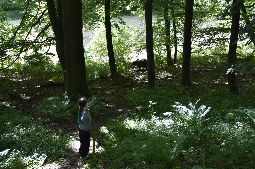 Tarnowskie Góry. Łucznicy w parku Repeckim [FOTO]