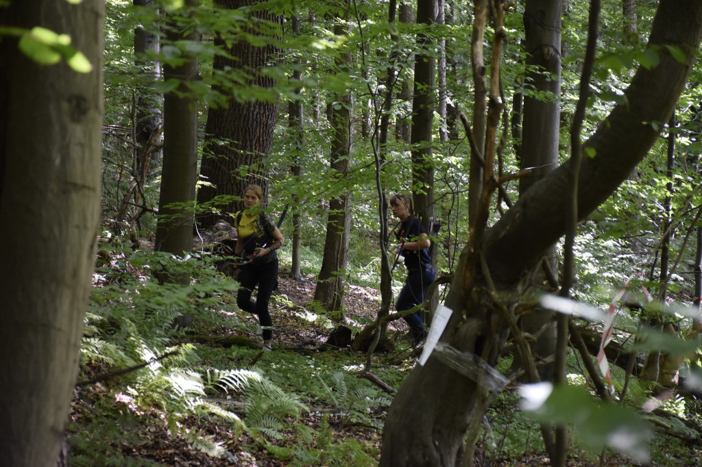 Tarnowskie Góry. Łucznicy w parku Repeckim [FOTO]