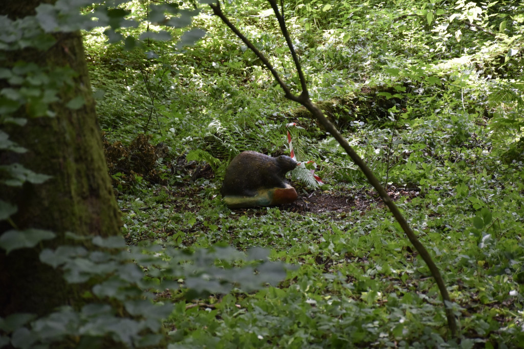 Tarnowskie Góry. Łucznicy w parku Repeckim [FOTO]