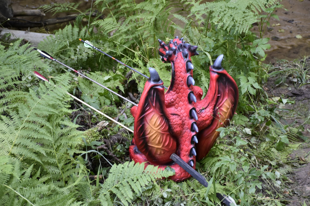 Tarnowskie Góry. Łucznicy w parku Repeckim [FOTO]