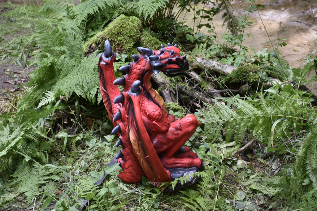 Tarnowskie Góry. Łucznicy w parku Repeckim [FOTO]