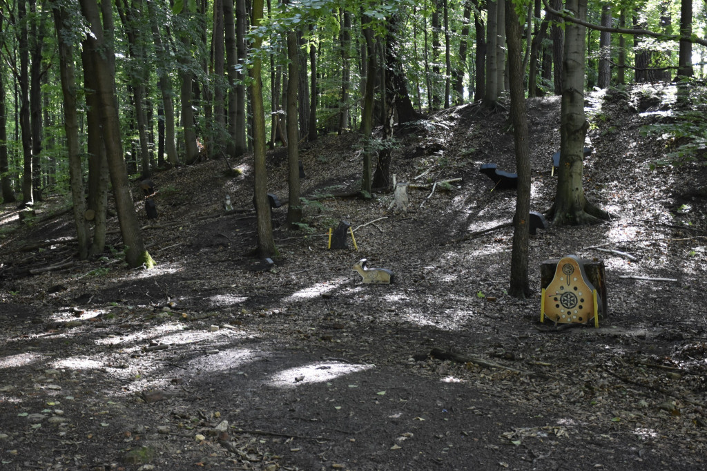 Tarnowskie Góry. Łucznicy w parku Repeckim [FOTO]