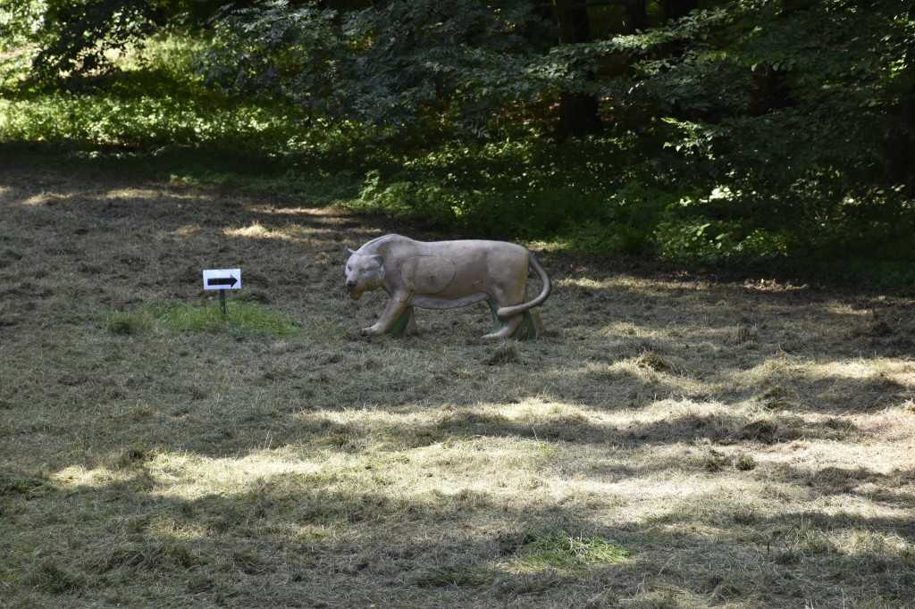 Tarnowskie Góry. Łucznicy w parku Repeckim [FOTO]