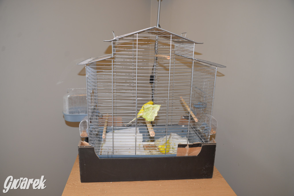 Nowy dom seniora w powiecie tarnogórskim [ZDJĘCIA]