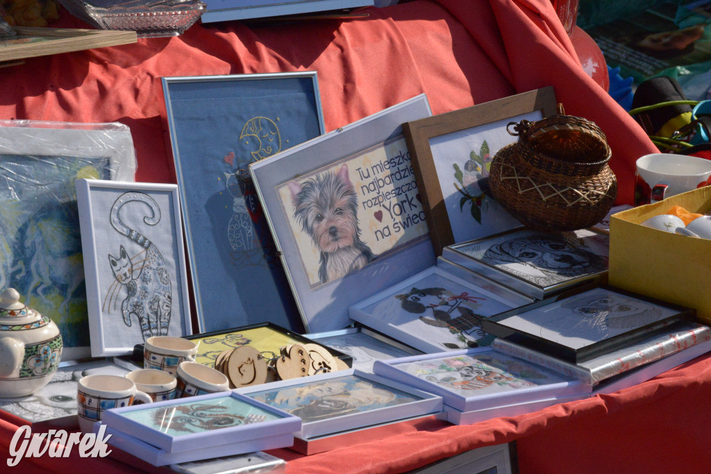 Tarnowskie Góry. Pchli targ ze zgrzytem
