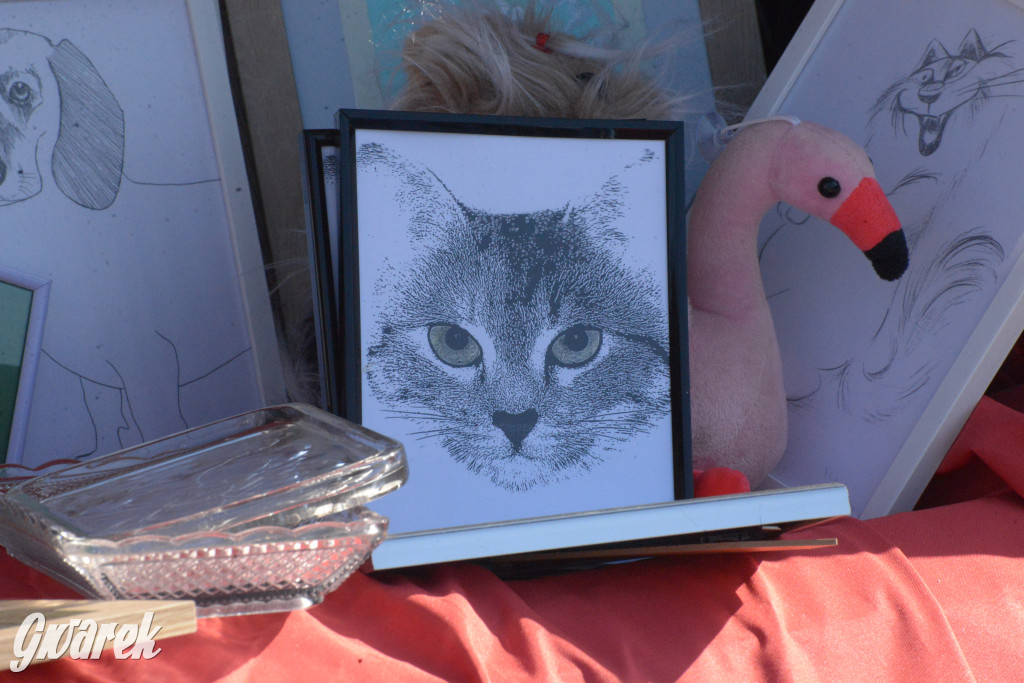 Tarnowskie Góry. Pchli targ ze zgrzytem