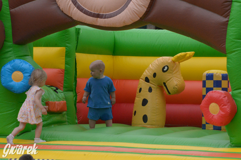 Święto Pieczenia Chleba w Świniowicach