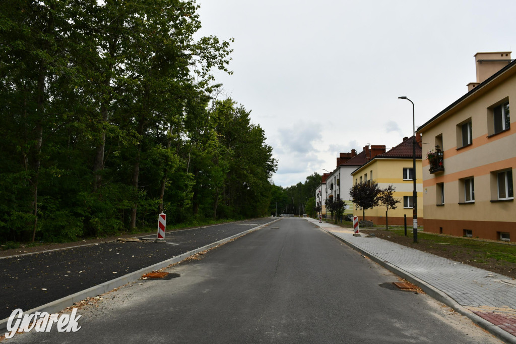 Grzybowa w przebudowie – postępy prac i utrudnienia