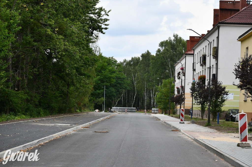 Grzybowa w przebudowie – postępy prac i utrudnienia