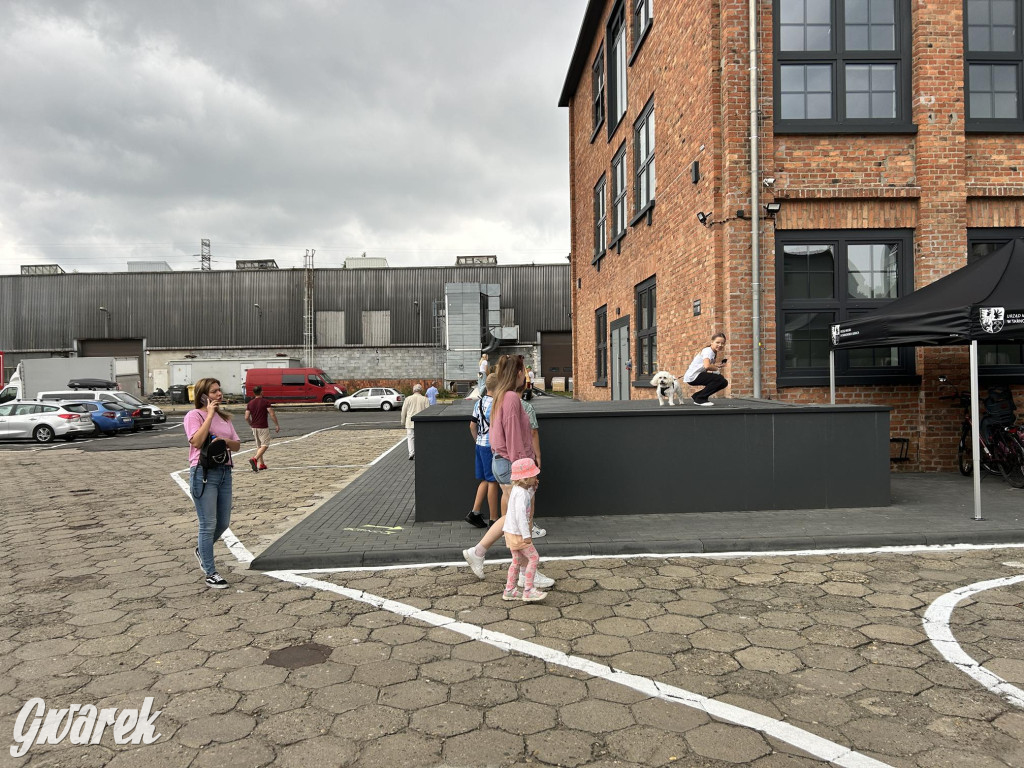 Tarnowskie Góry. Pogoda nie zatrzymała pasjonatów