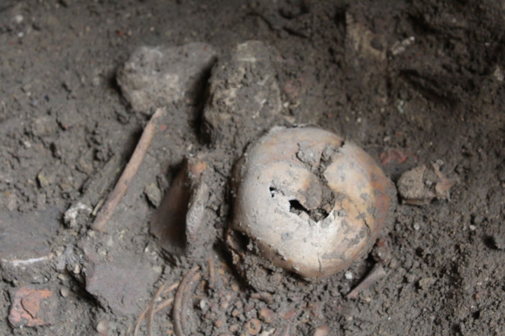 Dziecięce groby w kościele pw. św. Wojciecha