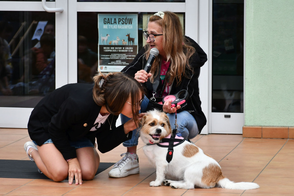 Gala psów nie tylko rasowych [ZDJĘCIA]