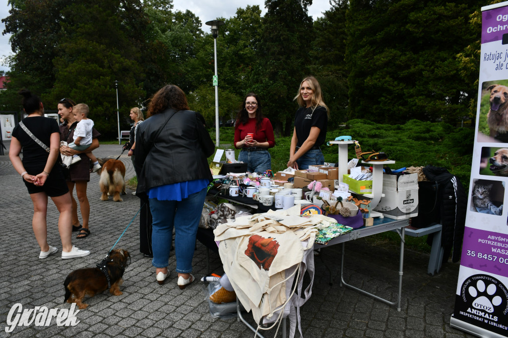 Gala psów nie tylko rasowych [ZDJĘCIA]