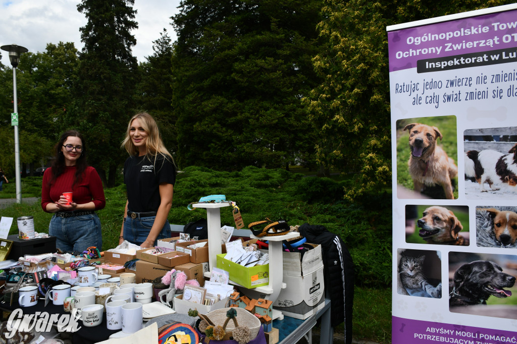 Gala psów nie tylko rasowych [ZDJĘCIA]