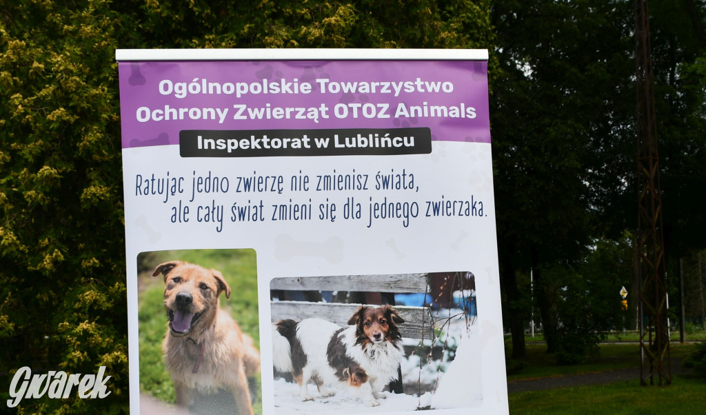 Gala psów nie tylko rasowych [ZDJĘCIA]