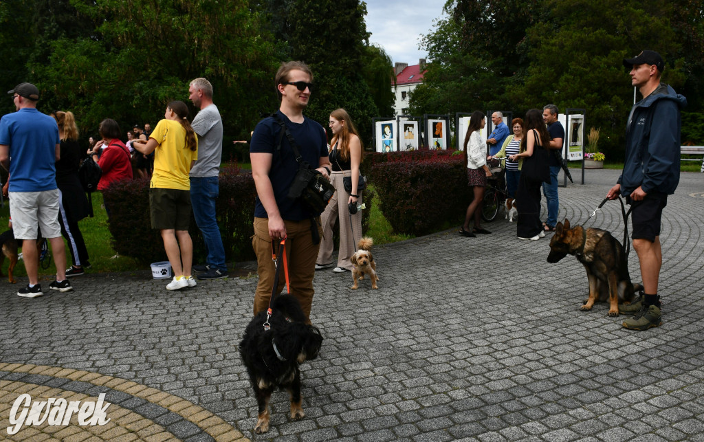 Gala psów nie tylko rasowych [ZDJĘCIA]