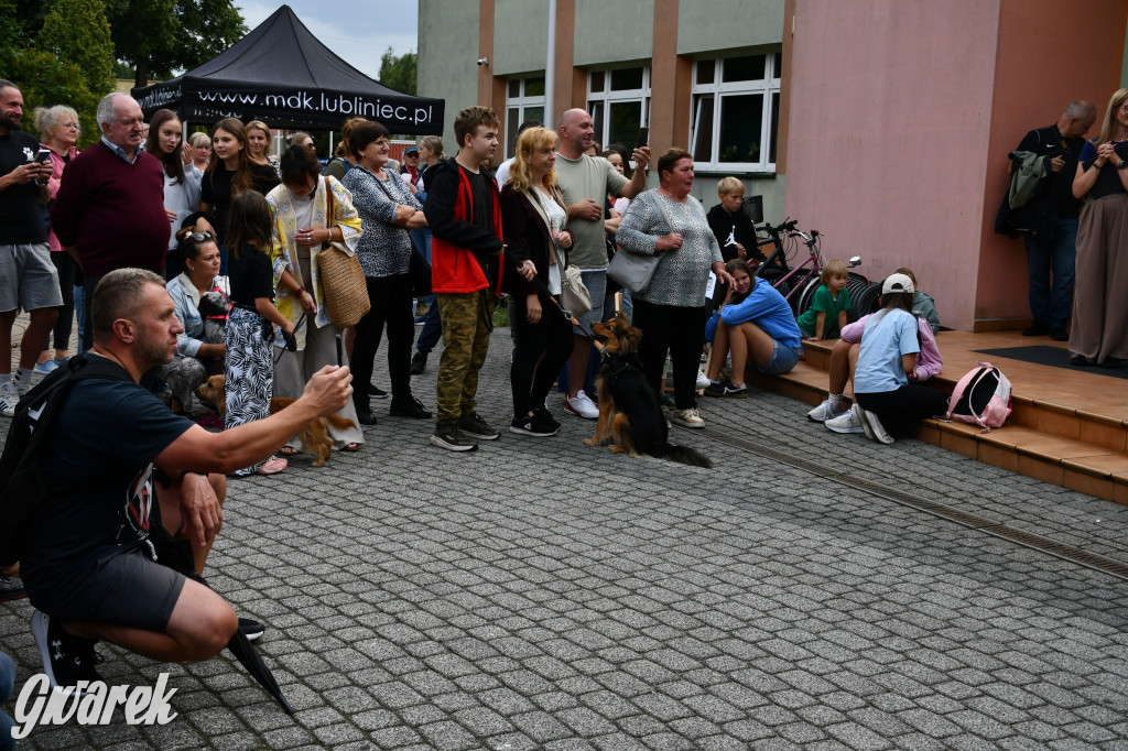 Gala psów nie tylko rasowych [ZDJĘCIA]