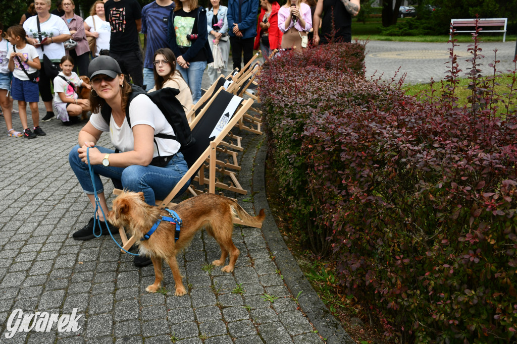 Gala psów nie tylko rasowych [ZDJĘCIA]