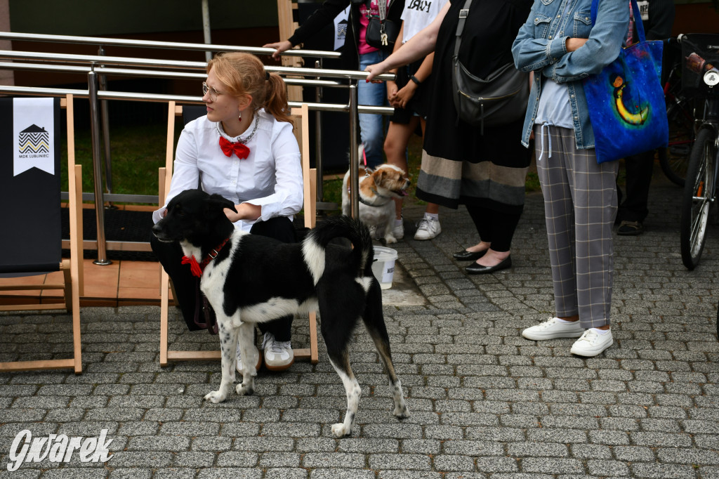 Gala psów nie tylko rasowych [ZDJĘCIA]