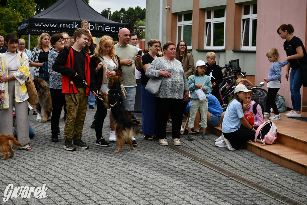 Gala psów nie tylko rasowych [ZDJĘCIA]
