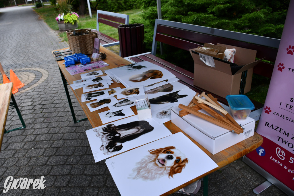 Gala psów nie tylko rasowych [ZDJĘCIA]