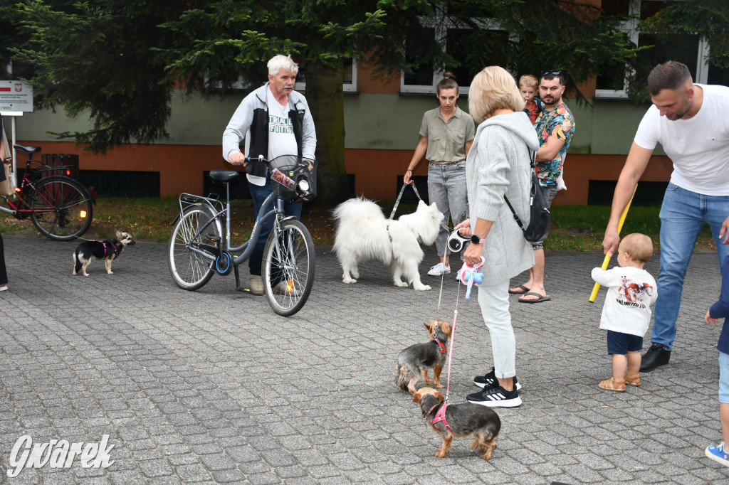 Gala psów nie tylko rasowych [ZDJĘCIA]