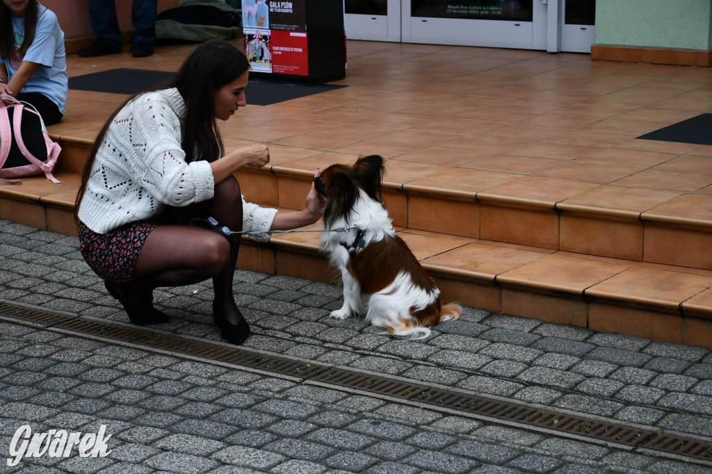 Gala psów nie tylko rasowych [ZDJĘCIA]