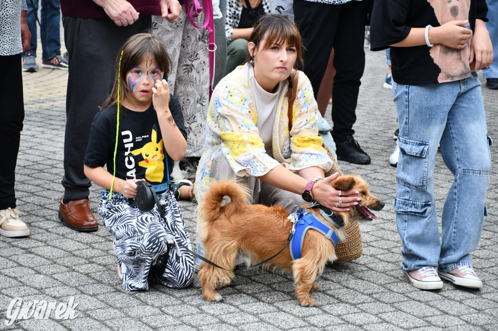 Gala psów nie tylko rasowych [ZDJĘCIA]