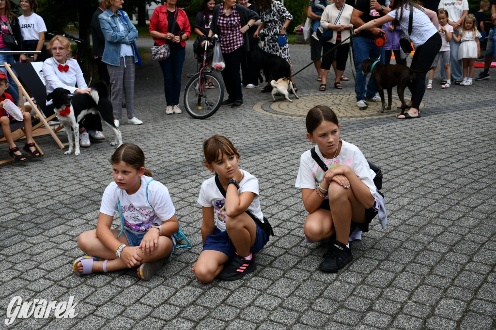 Gala psów nie tylko rasowych [ZDJĘCIA]