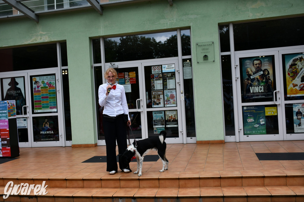 Gala psów nie tylko rasowych [ZDJĘCIA]