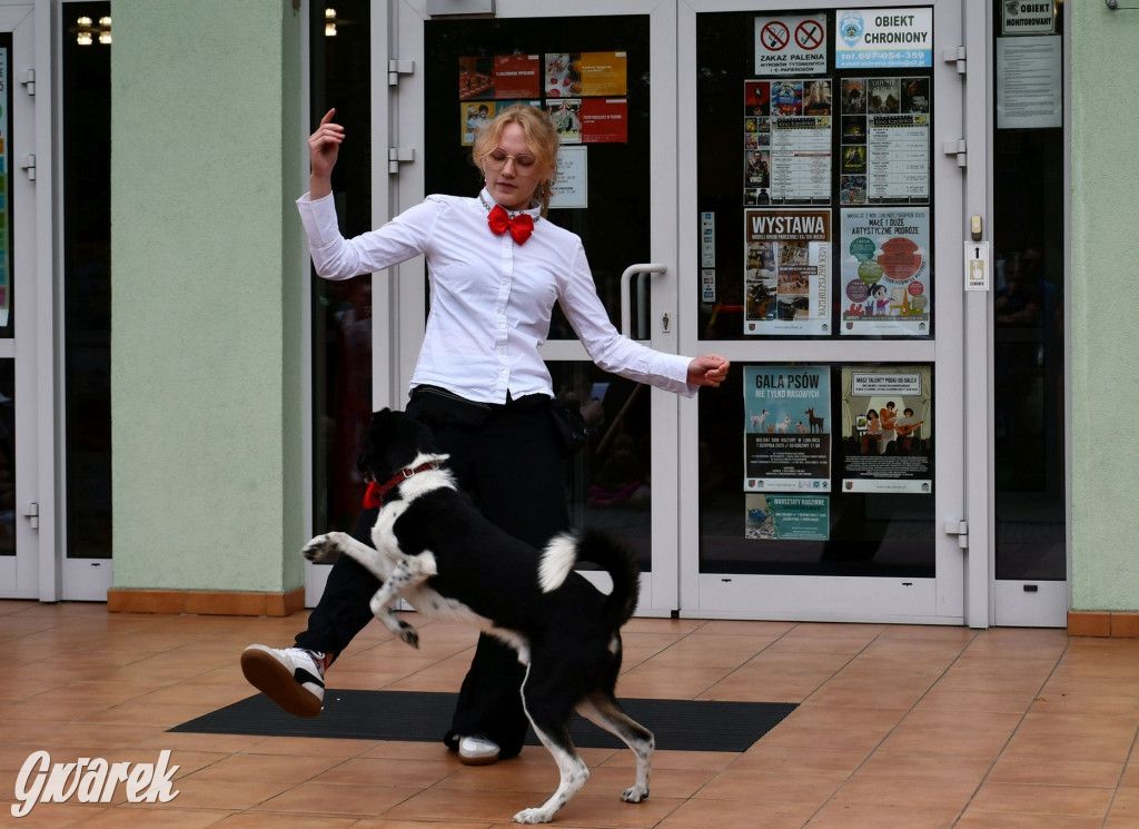 Gala psów nie tylko rasowych [ZDJĘCIA]