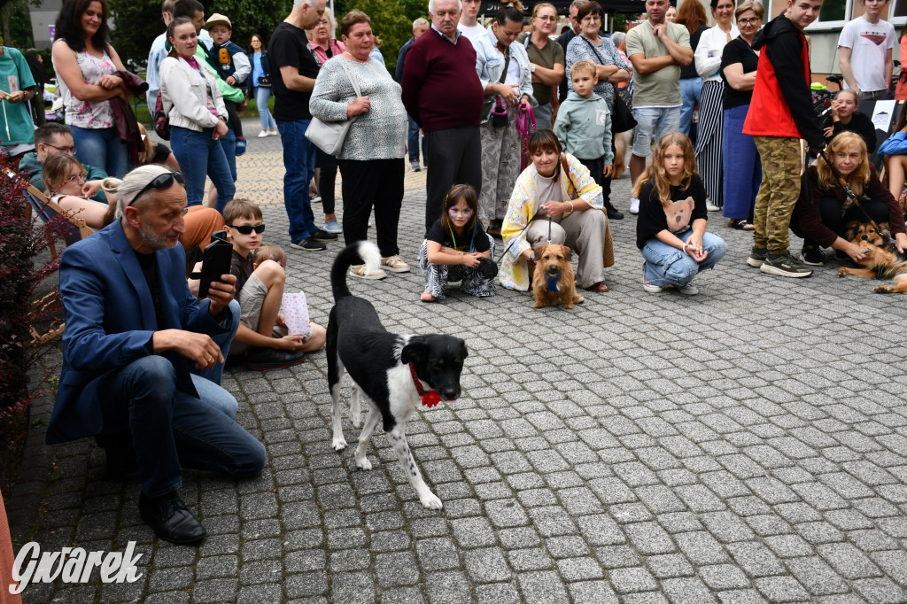 Gala psów nie tylko rasowych [ZDJĘCIA]