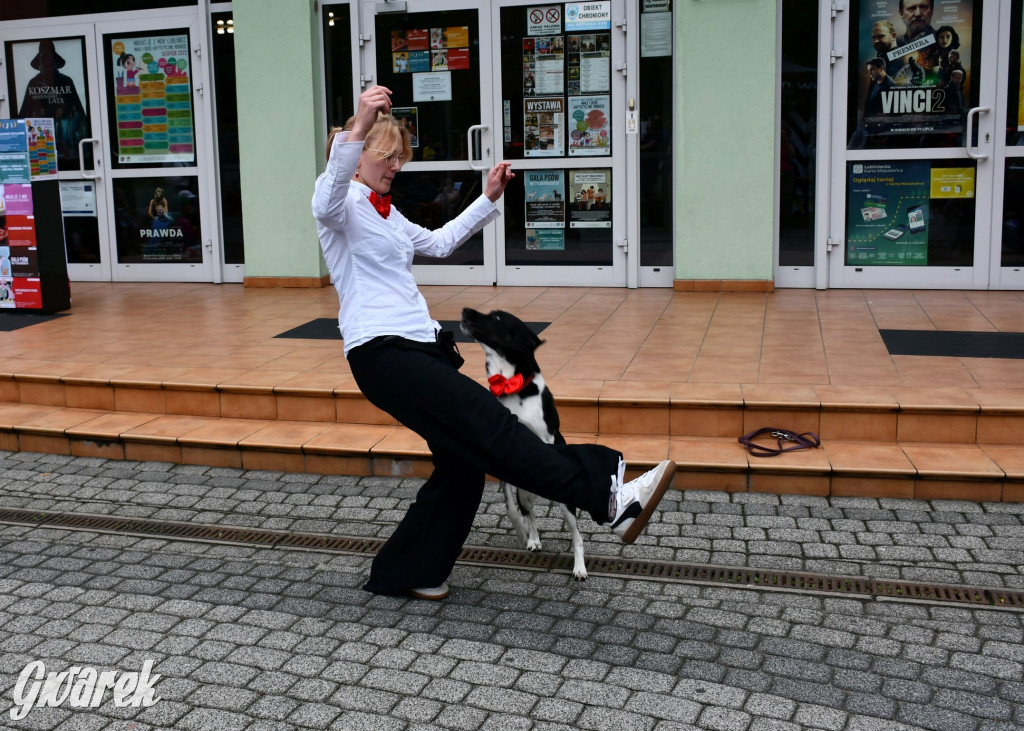 Gala psów nie tylko rasowych [ZDJĘCIA]