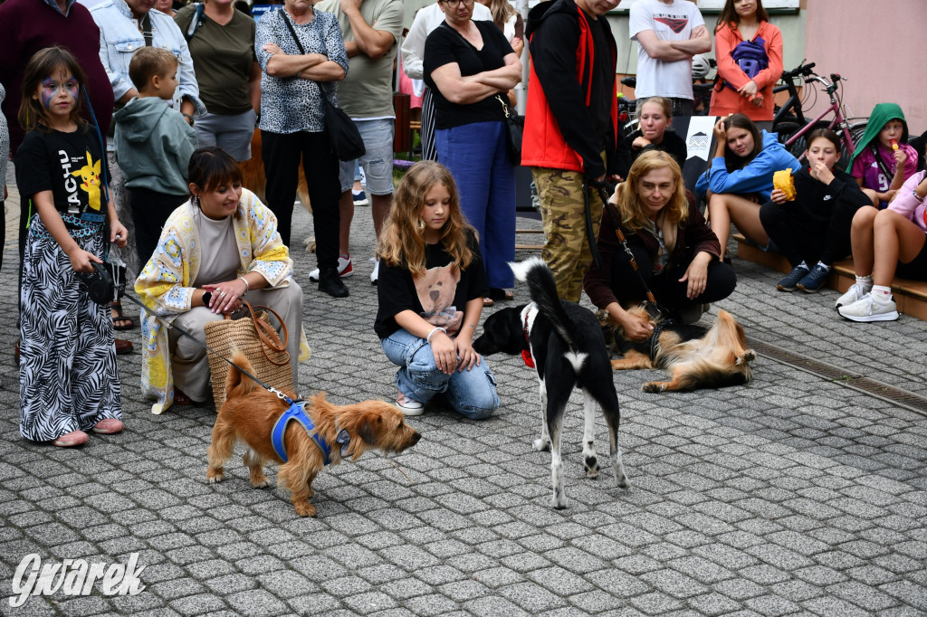 Gala psów nie tylko rasowych [ZDJĘCIA]